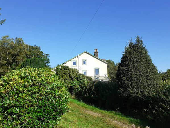 A white house with a green roof, surrounded by dense greenery and trees. - Forest How (Holmrook)