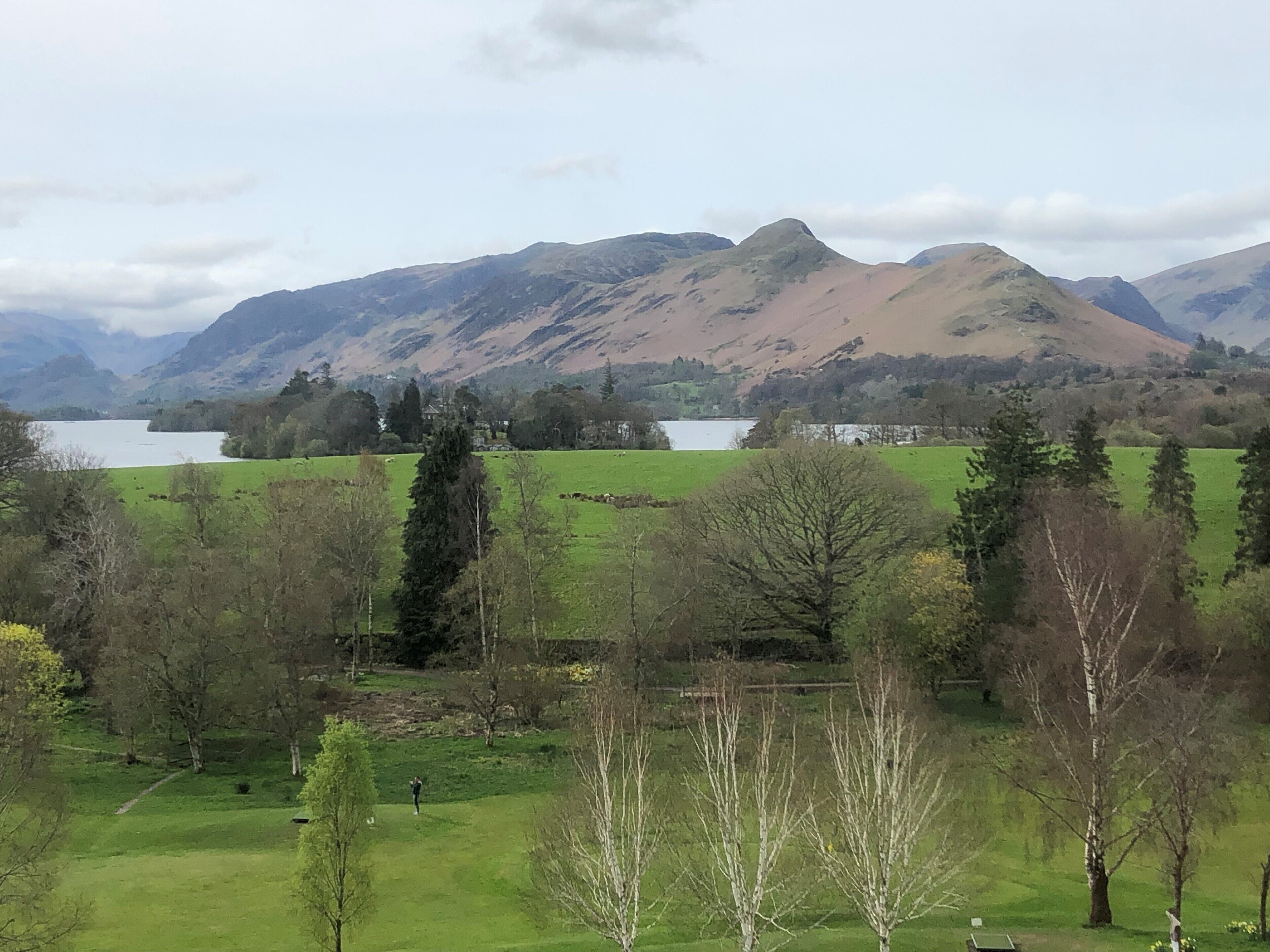 A scenic landscape with a lake, mountains, and a grassy field with trees.