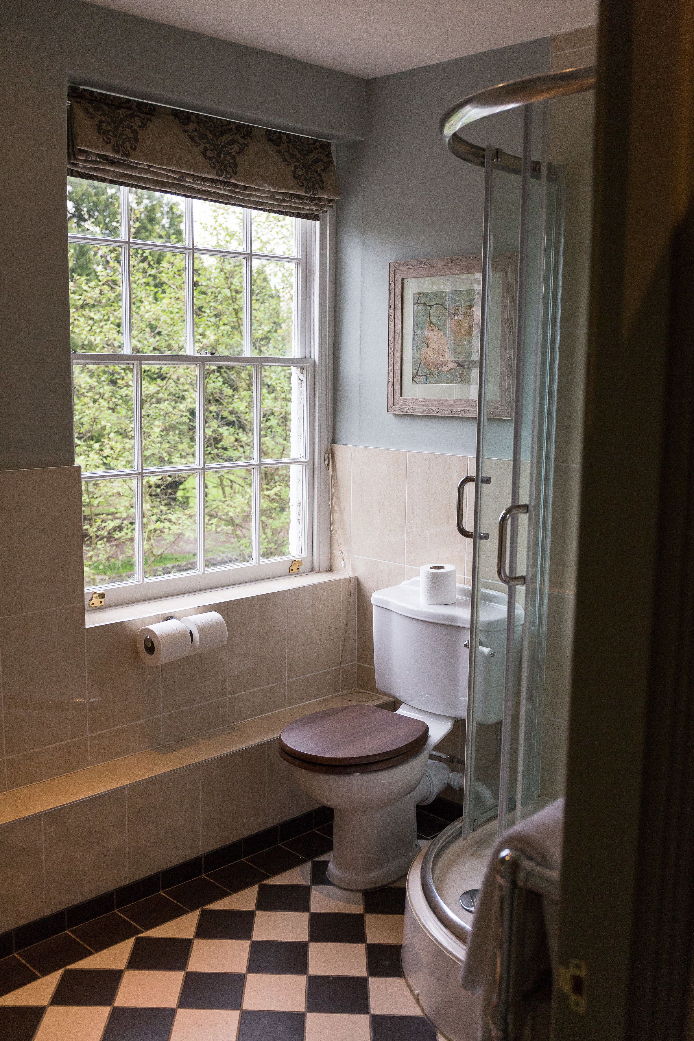 A bathroom with a toilet, a shower, and a window with a view of trees.