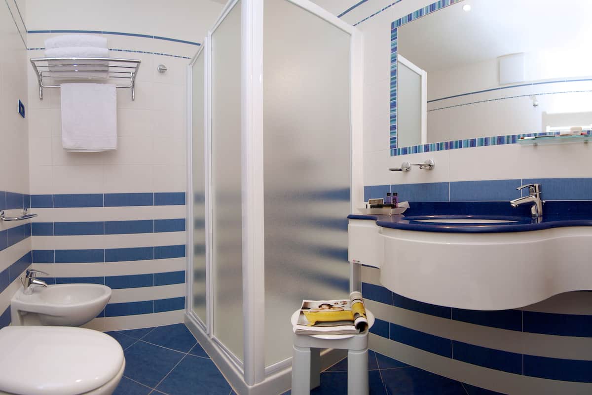 shower, free toiletries, hair dryer, bidet