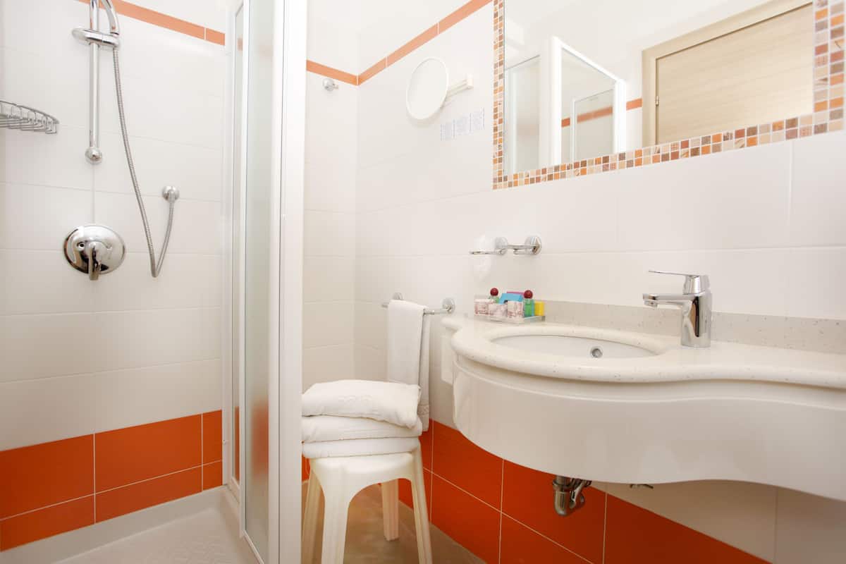 shower, free toiletries, bidet, towels