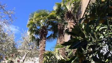 Jardín