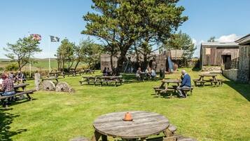 Guests can enjoy picnics under the shade of a large tree surrounded by grass and rustic structures.