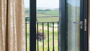 Deluxe Suite | View from room