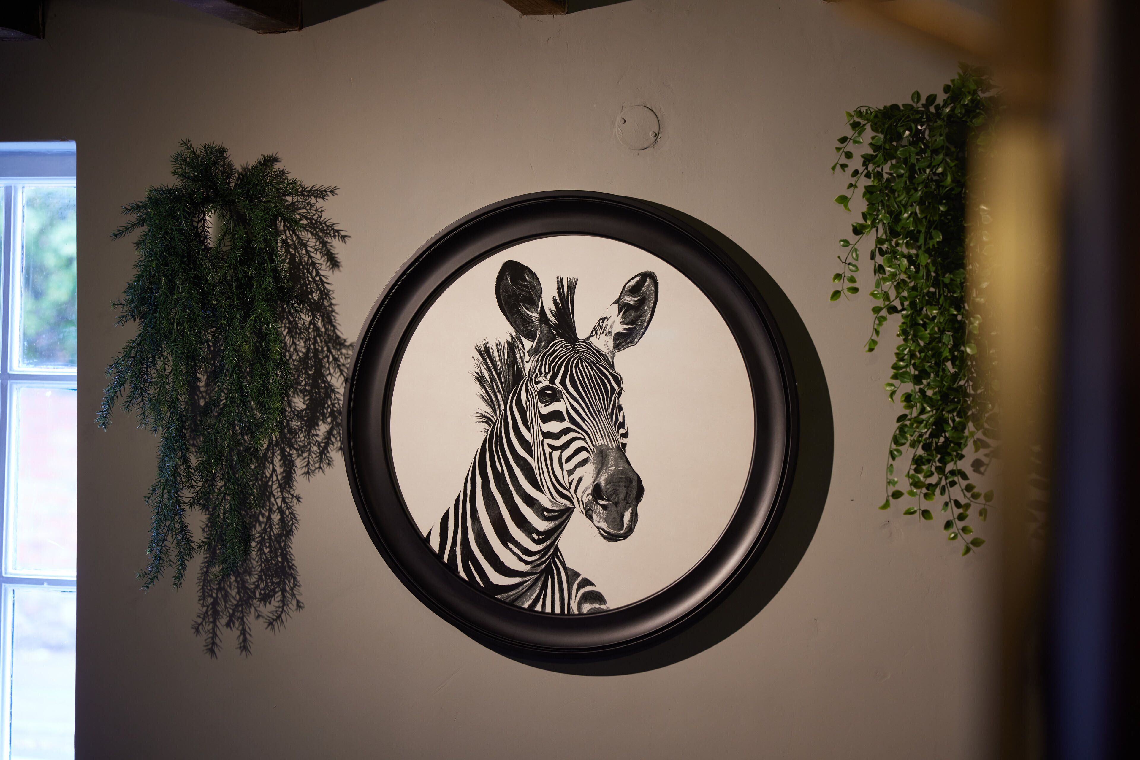 A framed zebra artwork on a wall, a hanging plant, and a window with daylight.