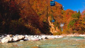 Ein klarer Fluss mit Steinen, ein Berg mit Herbstlaub und eine Seilbahn.