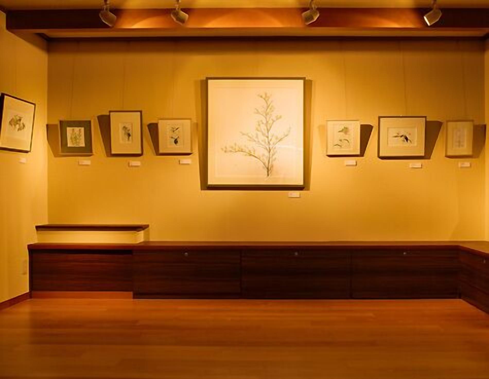 Une galerie où sont accrochées, encadrées, des illustrations botaniques, un banc en bois et un luminaire au plafond.