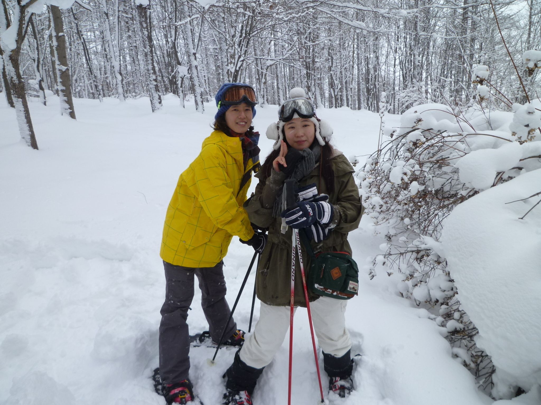 Twee personen in een besneeuwd bos, één met een gele jas en de ander met een groene jas, beiden met ski stokken.