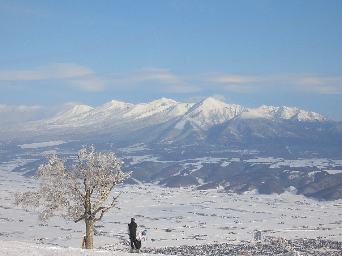 A snowy landscape with a person standing near a tree, overlooking a valley with mountains in the distance.