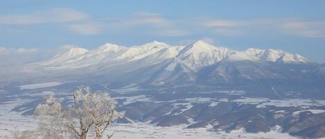 A snowy landscape with a person standing near a tree, overlooking a valley with mountains in the distance.