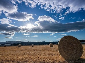 Vue sur le paysage depuis l’hébergement 