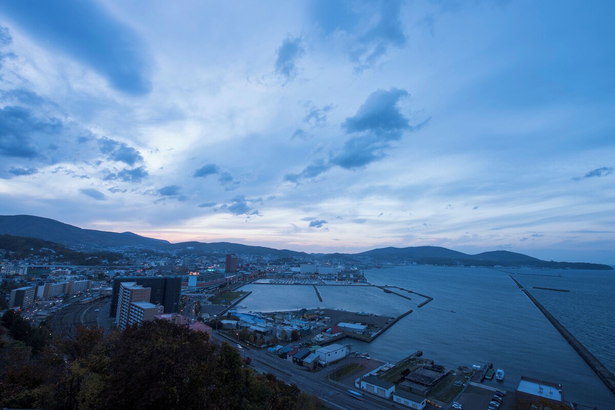 A coastal cityscape with a marina, buildings, and a road leading to the waterfront.