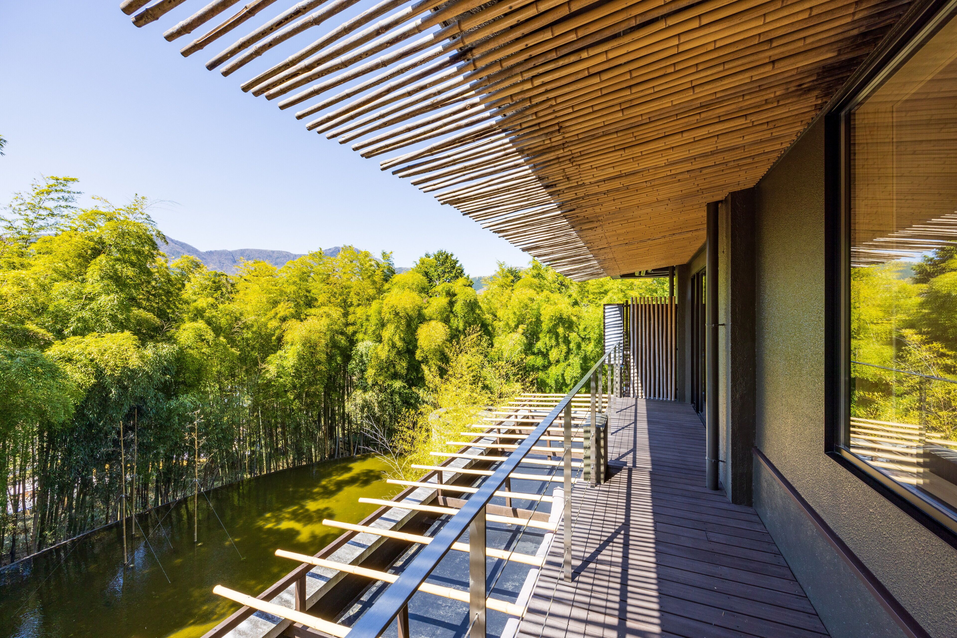Vista desde la habitación