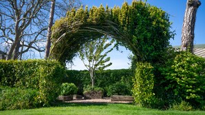 A garden with a pergola covered in greenery, surrounded by hedges and trees. - The Dower House Hotel (Lyme Regis)