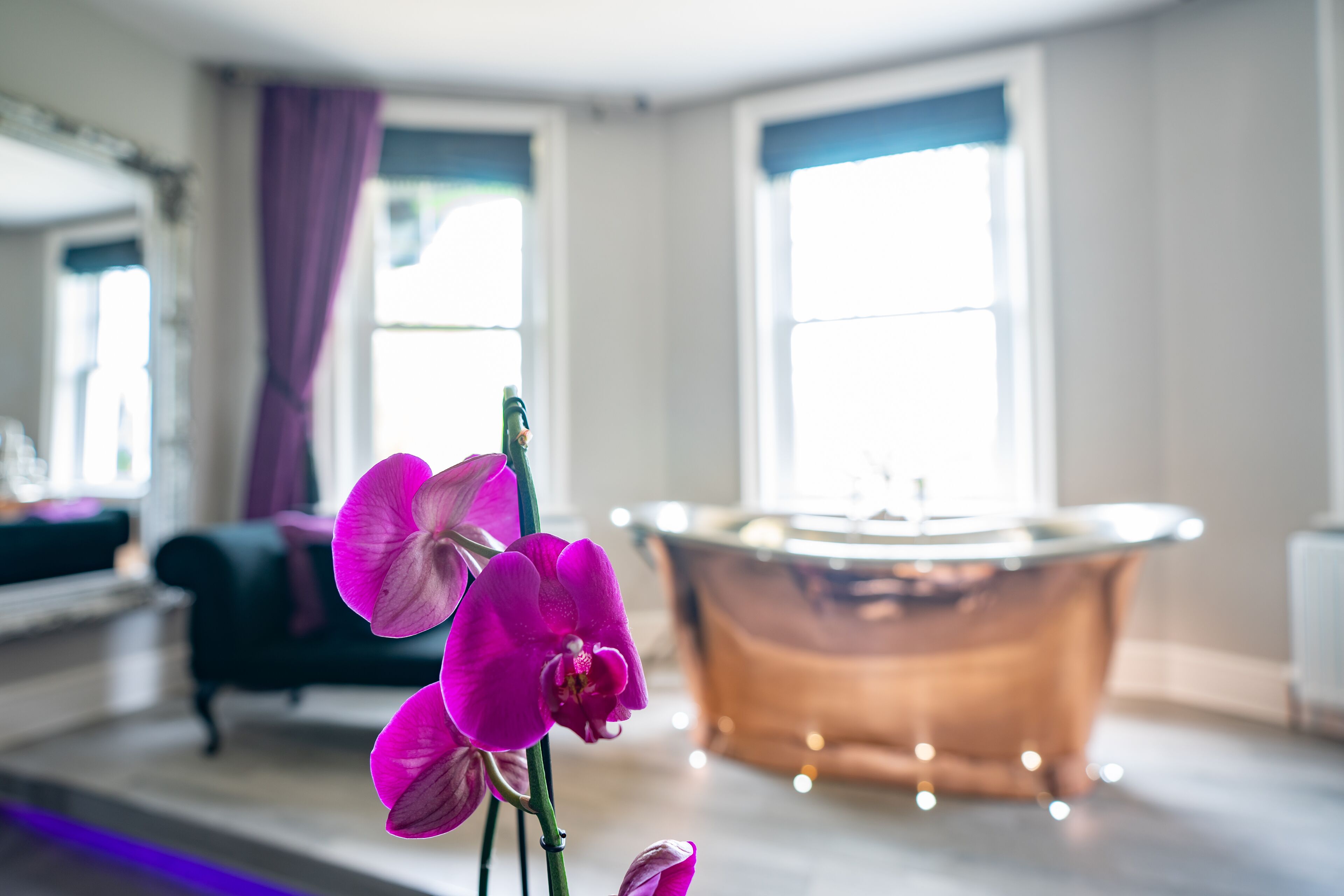 ラグジュアリー スイート | 1 室のベッドルーム、高級寝具、アイロン / アイロン台、WiFi (無料)