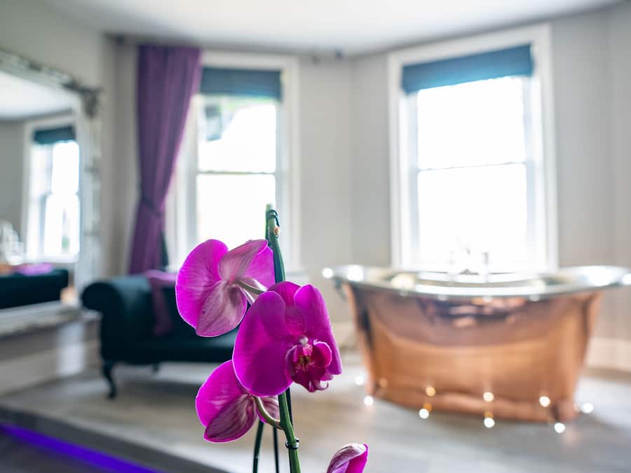 Luxury Suite | 1 bedroom, premium bedding, iron/ironing board, free WiFi