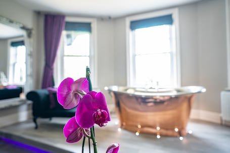 Luxury Suite | 1 bedroom, premium bedding, iron/ironing board, free WiFi