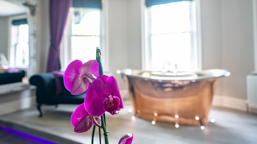 The Dower House Hotel