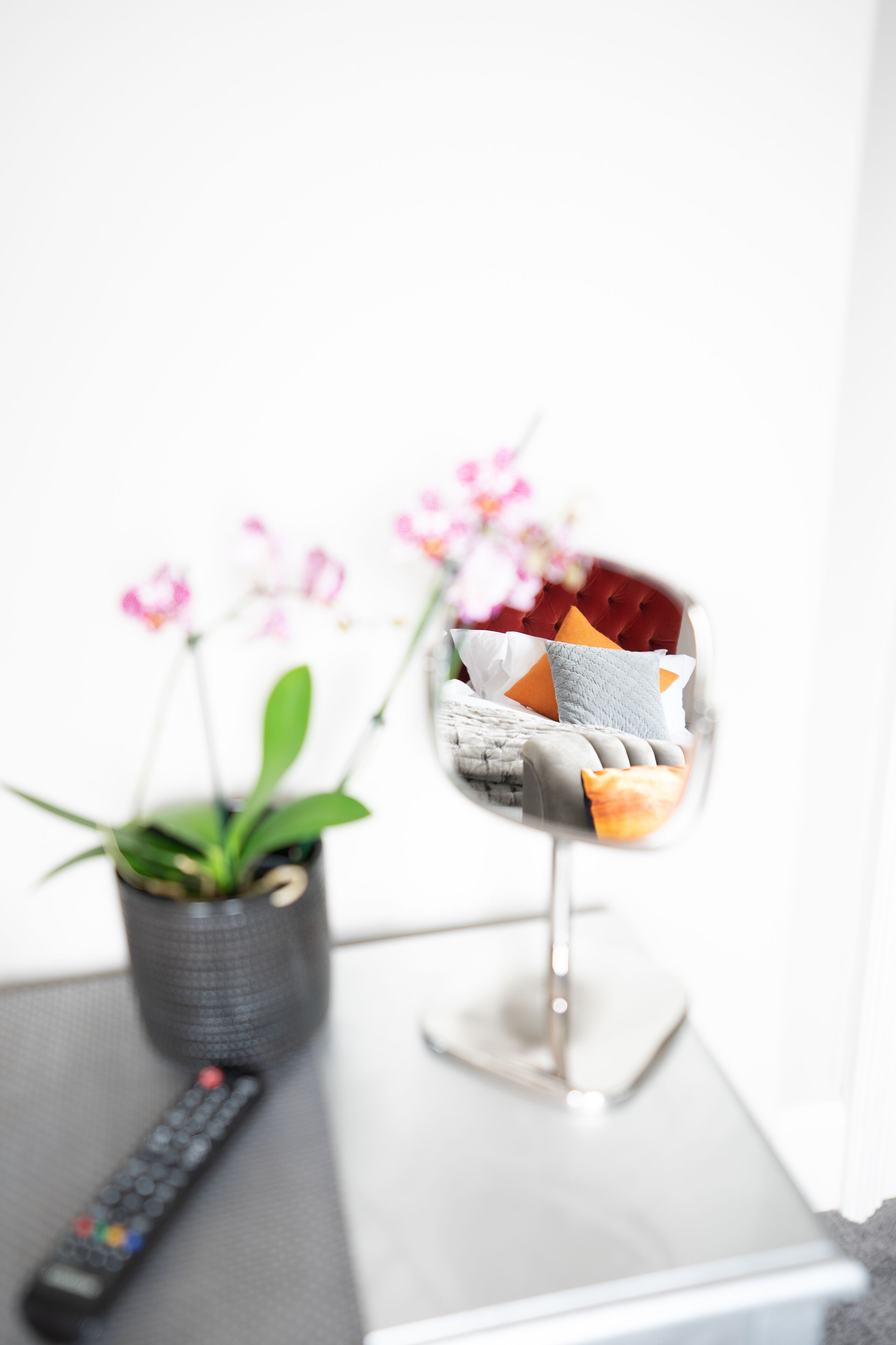 A remote control, a small potted plant, and a decorative glass container with cushions on a table.