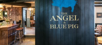 Angel and Blue Pig
