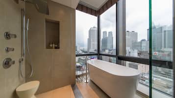 Combined shower/tub, deep soaking tub, free toiletries, hair dryer