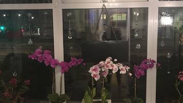 A window with three potted orchids and a decorative anchor.