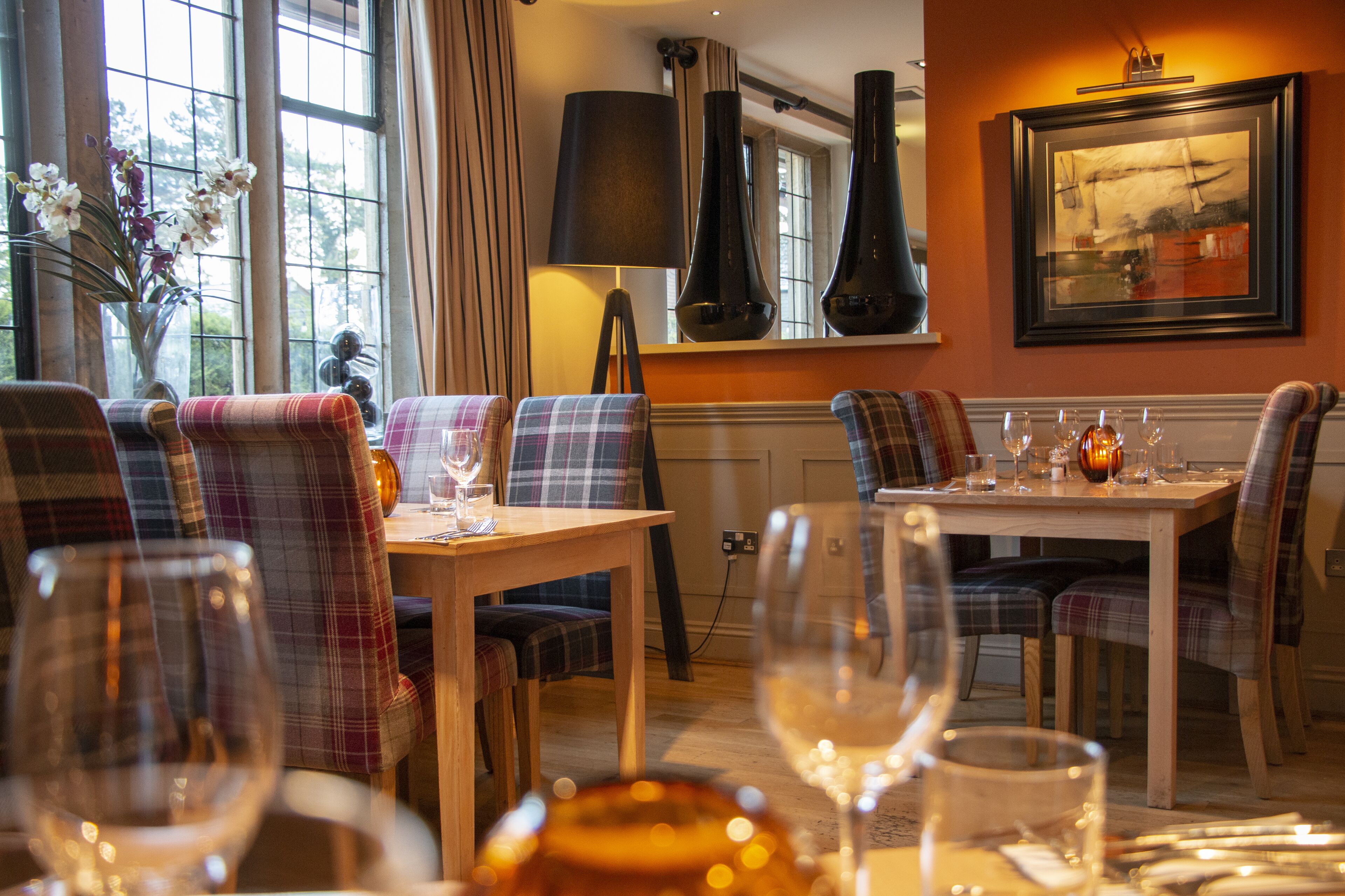 Photo - Hopping Hare