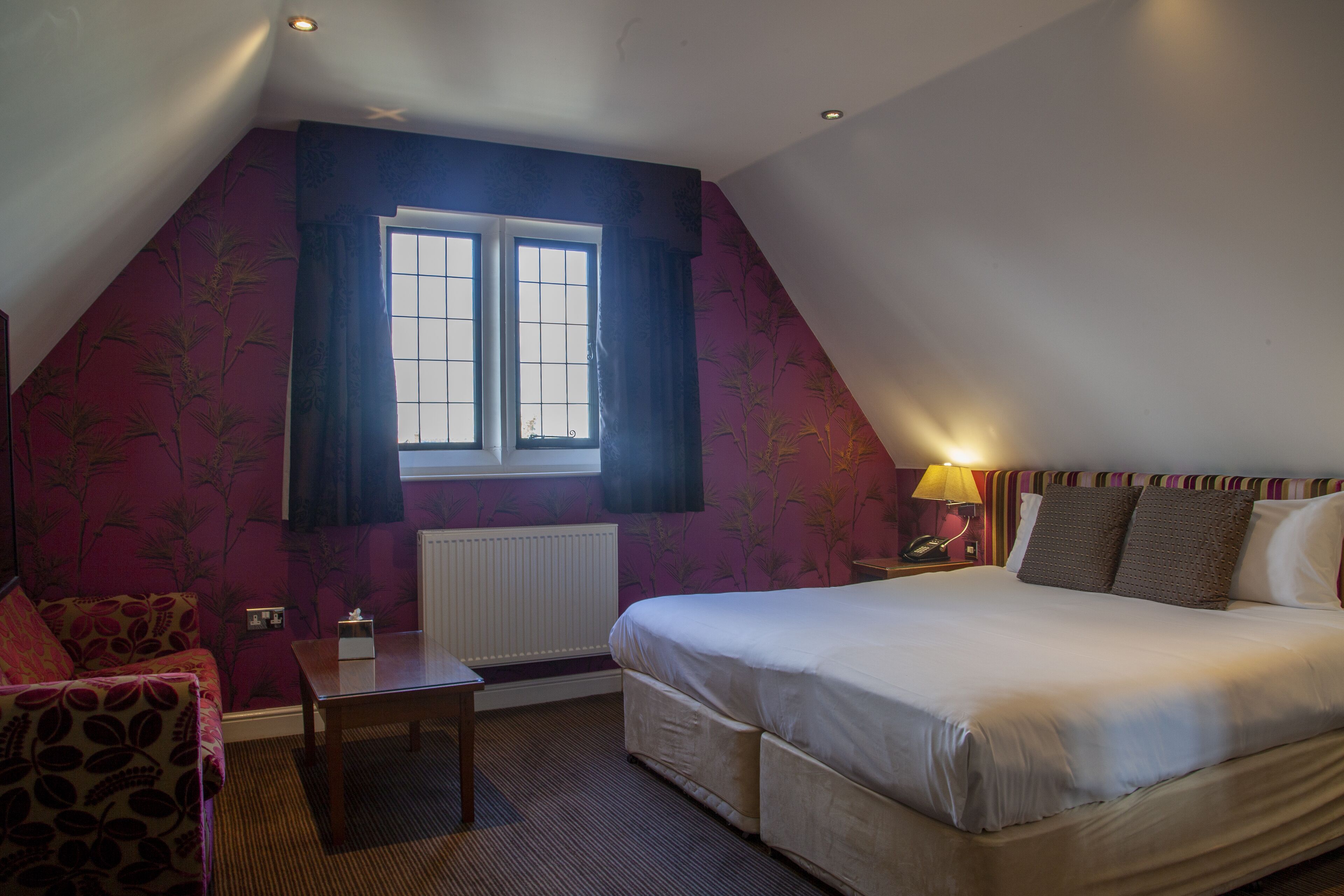 Photo - Hopping Hare