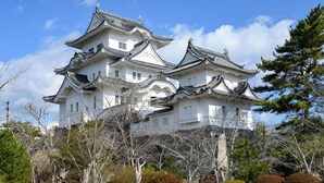 Un castillo japonés tradicional con varios niveles y tejados ornamentados, rodeado de árboles y un cielo despejado.