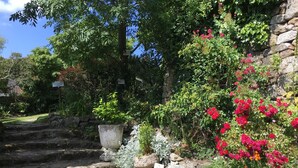 Una escalera de piedra que conduce a un jardín con diversas plantas y flores.