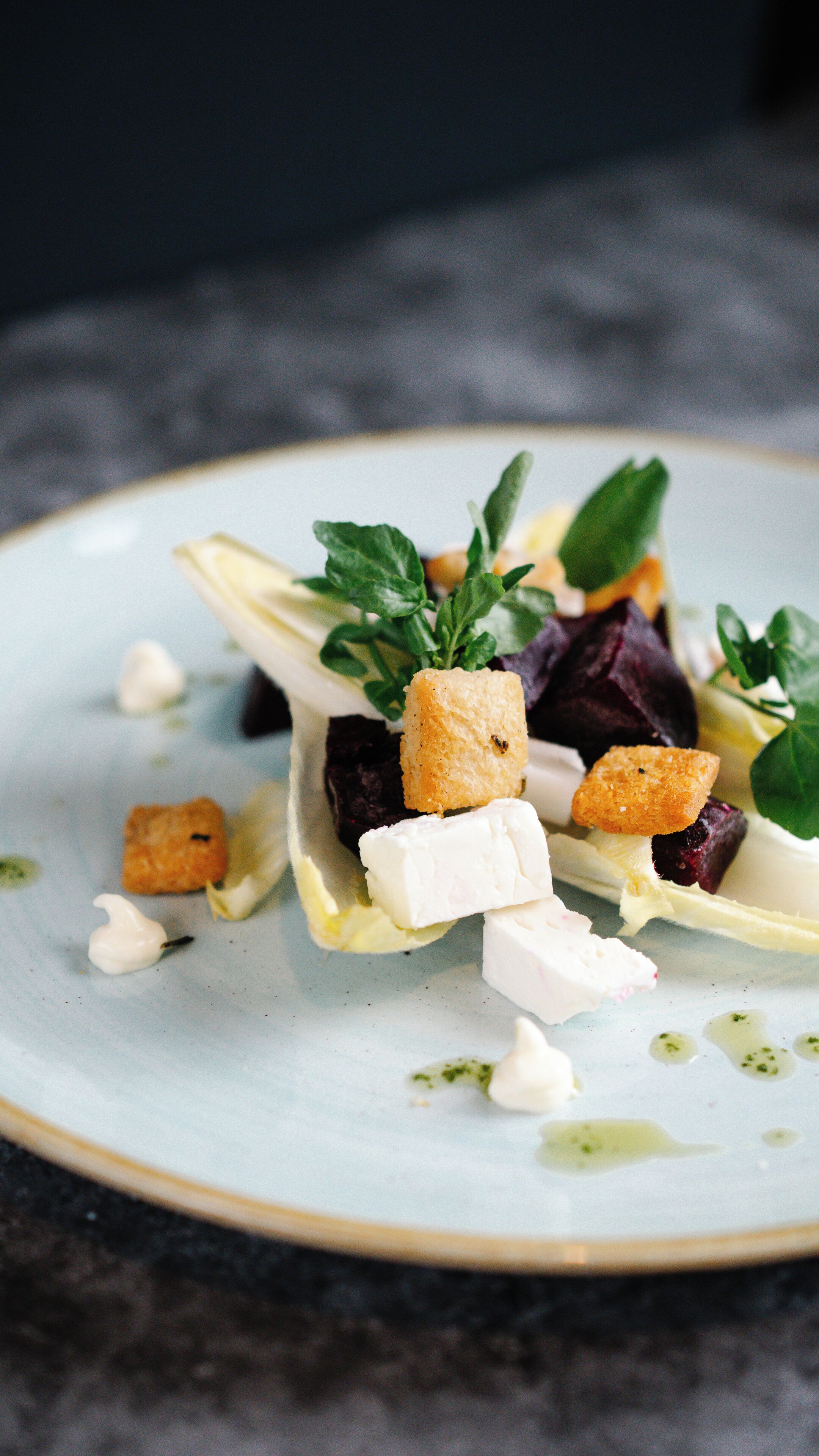 A plate with a salad consisting of beets, croutons, and cheese, garnished with herbs.