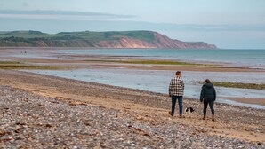 A pebbly beach with people and a dog walking along the shore, overlooking cliffs.