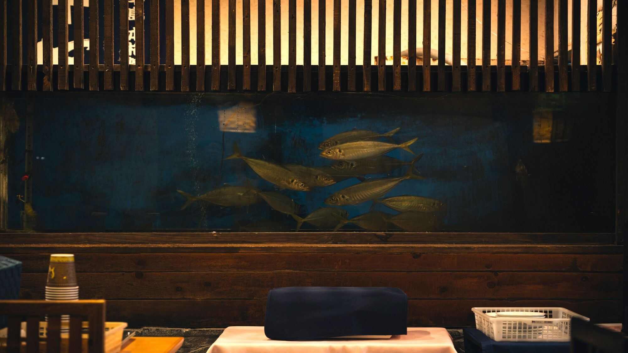 A room with a wooden floor, a table with a blue cushion, and a fish tank with several fish.