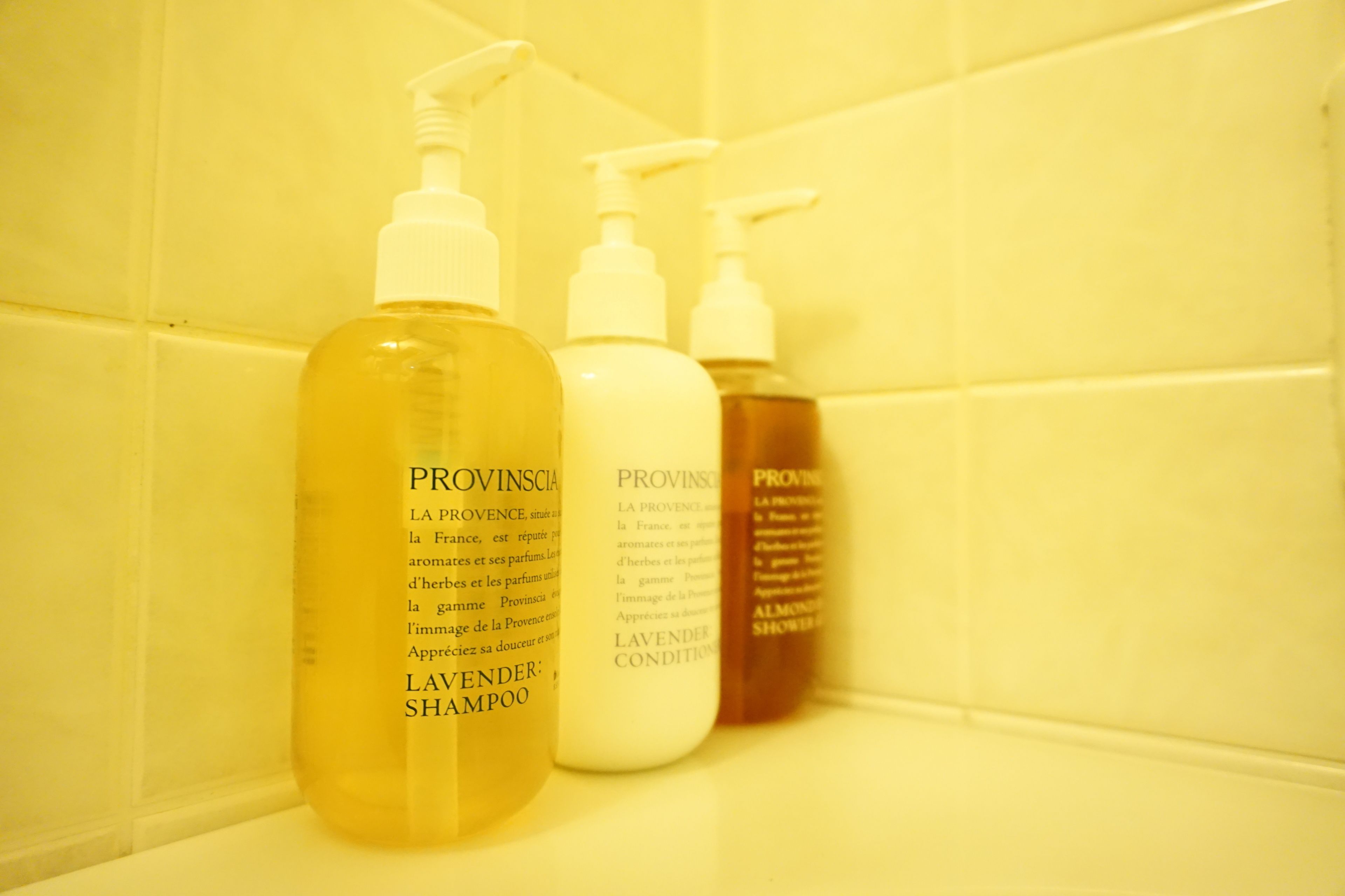 combined shower/bathtub, free toiletries, hair dryer, slippers