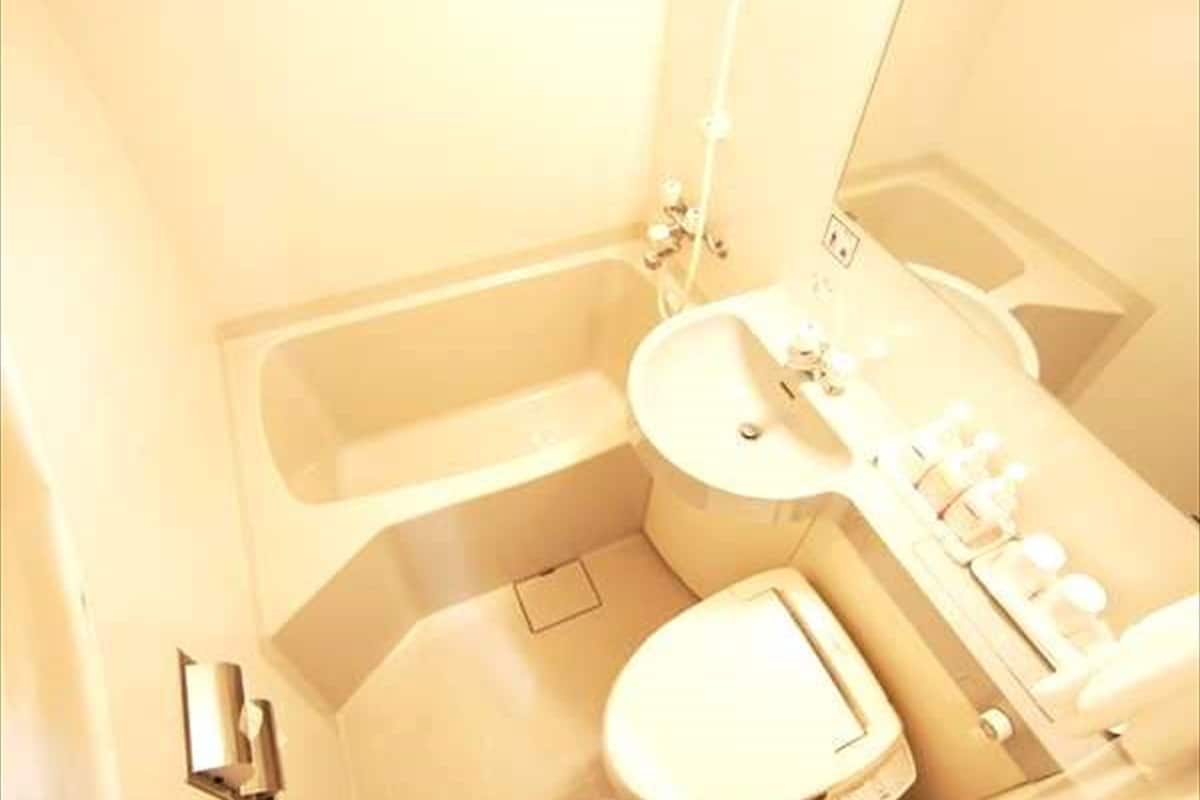 shower, free toiletries, hair dryer, slippers