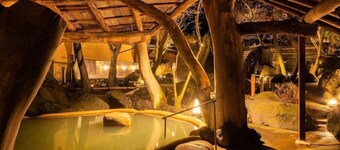 Arden Hotel Aso