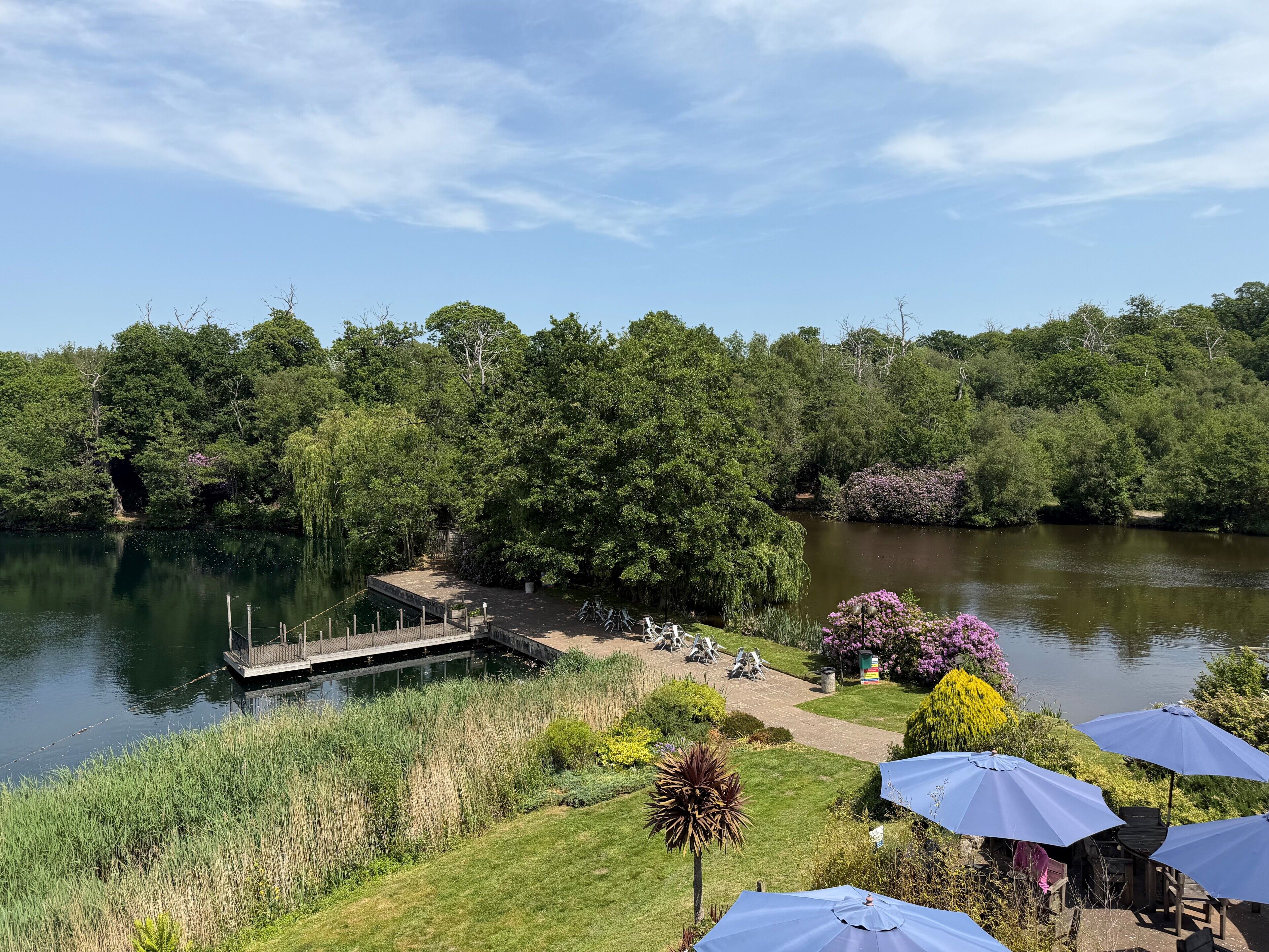 A lakeside view with a dock, lounge chairs, and umbrellas.