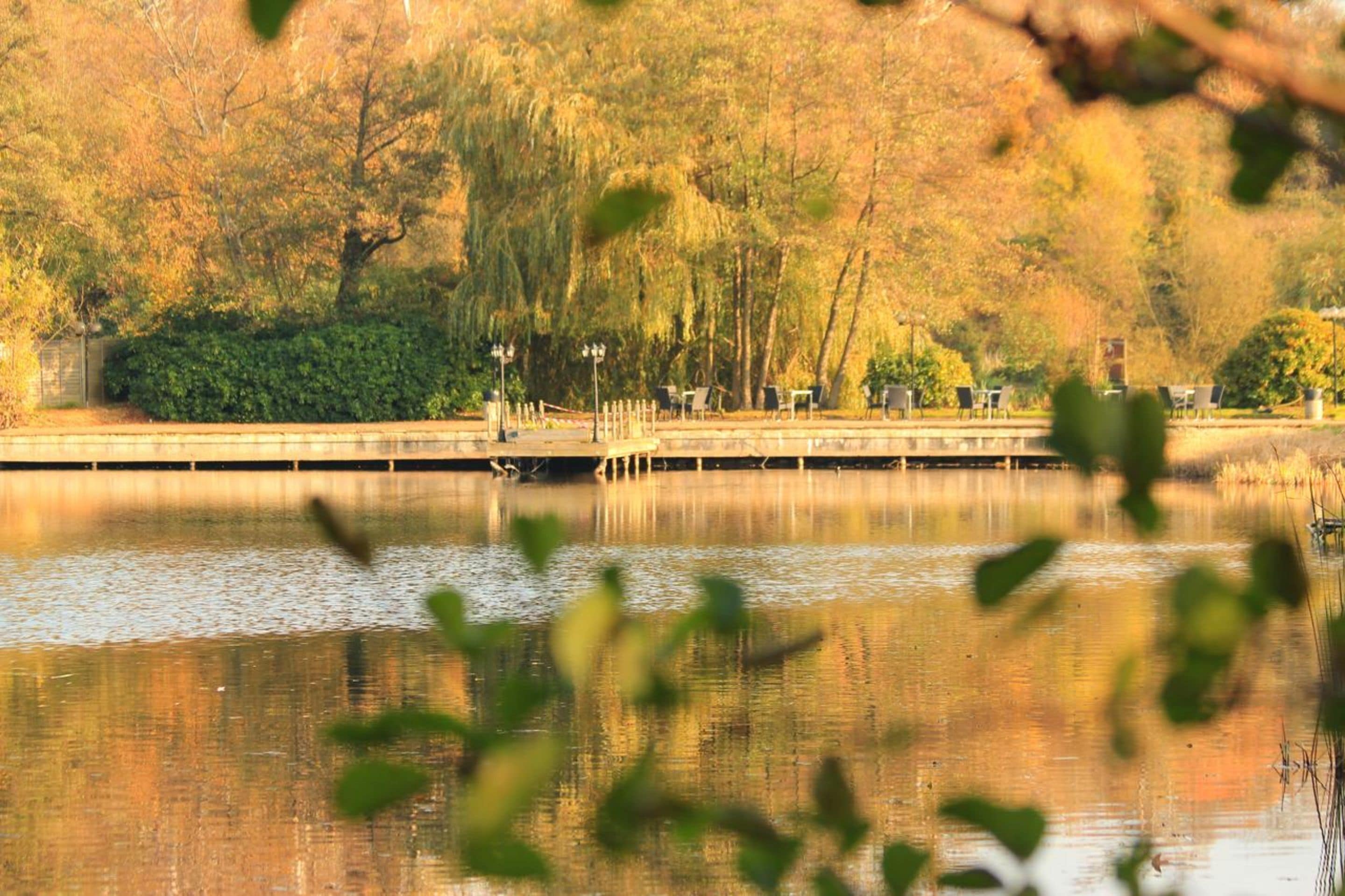 Una tranquilla cornice lacustre con un molo di legno che si protende nell'acqua, circondato da alberi e cespugli.