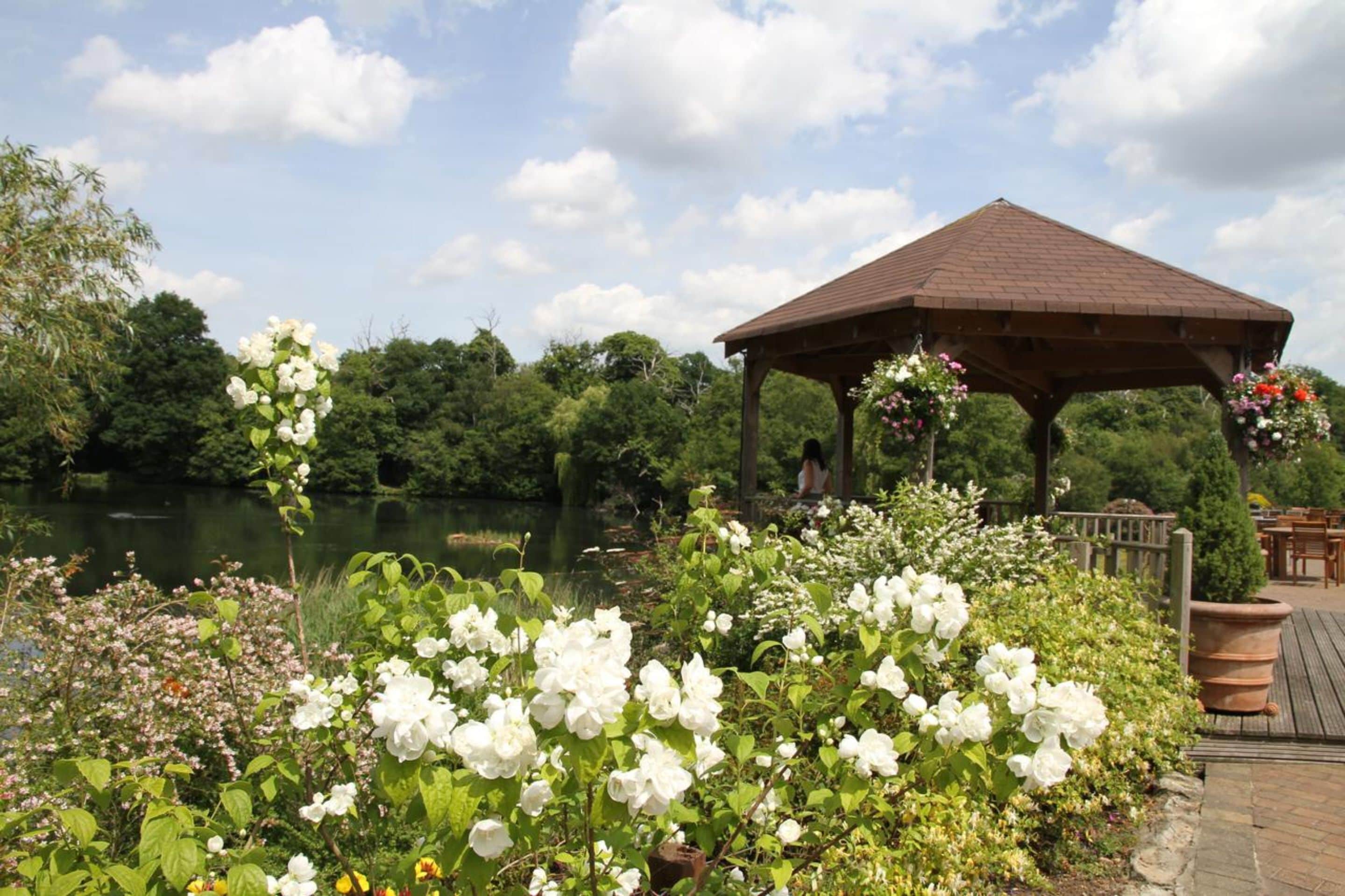 Jardín