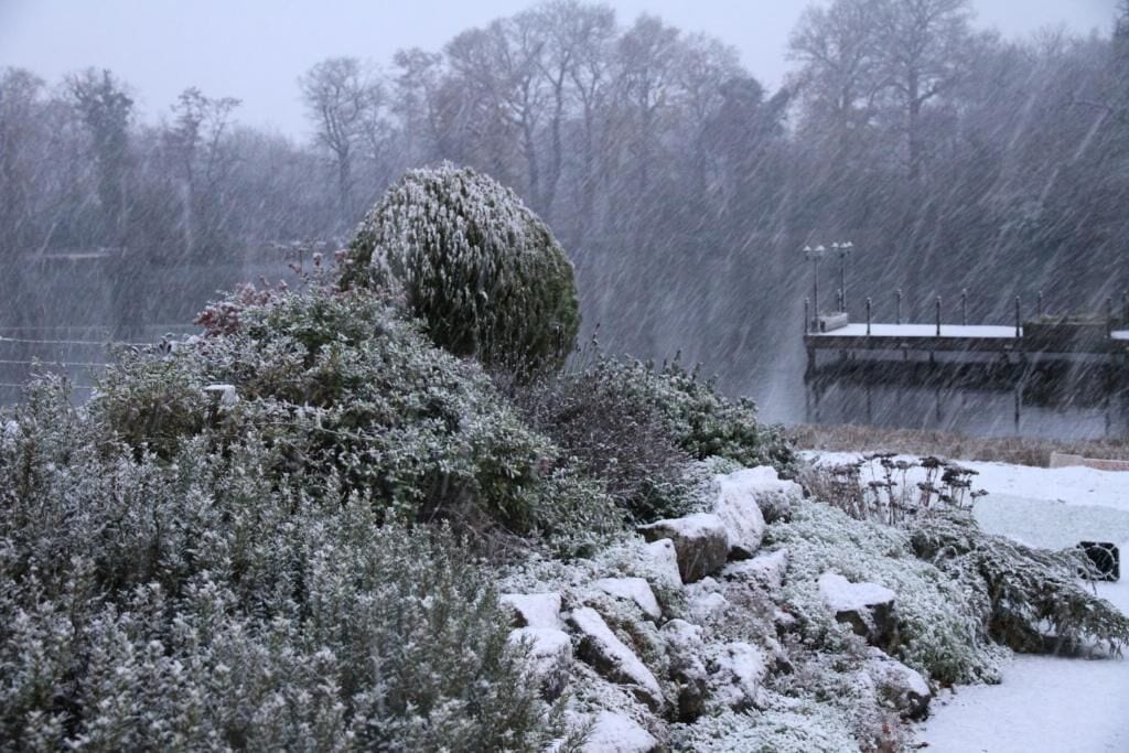 A snowy landscape with a snow-covered bush and rocks.