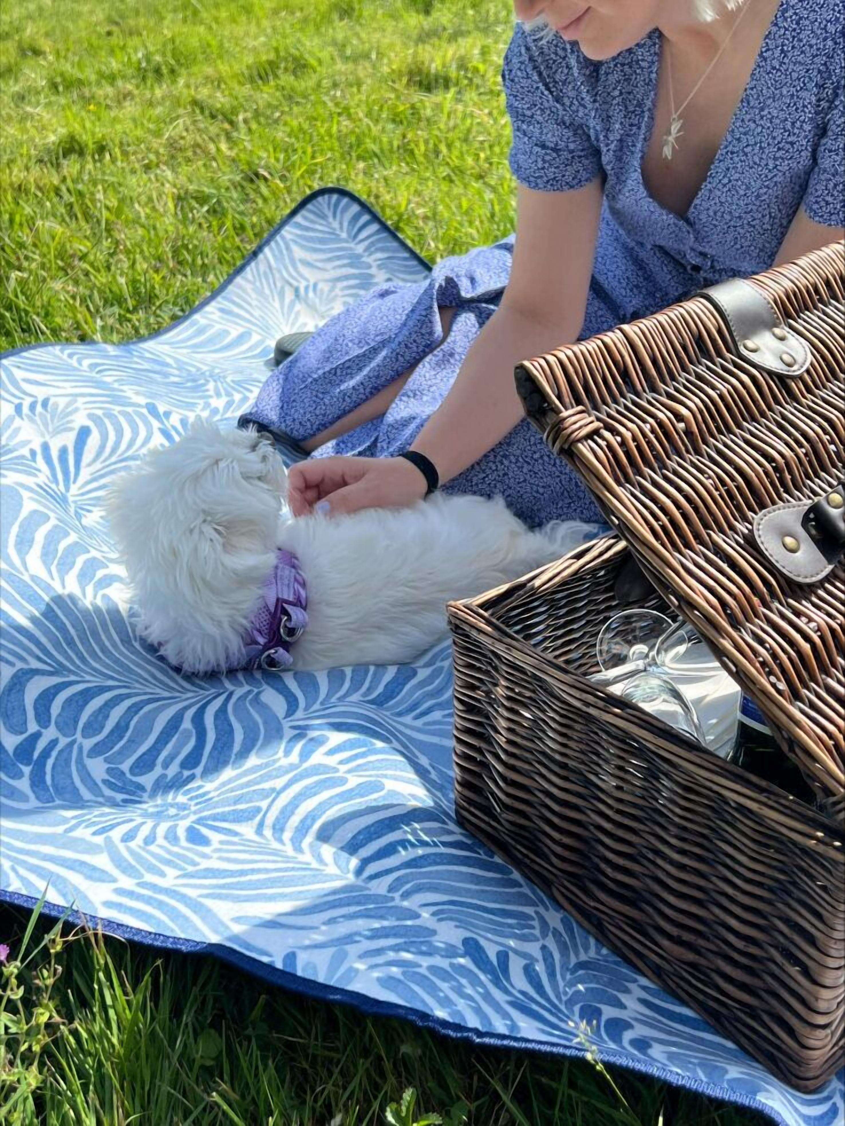 A person sitting on a patterned blanket outdoors with a small white dog and a wicker basket containing a glass and a container.