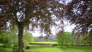 Un paisaje sereno con un árbol grande al frente, un área verde bien cuidada y una vista distante de un campo y colinas.