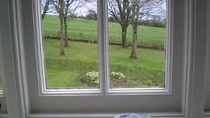 Una ventana con vista a un campo verde y árboles.