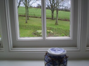 Deluxe Room, 1 King Bed, Garden View | View from room