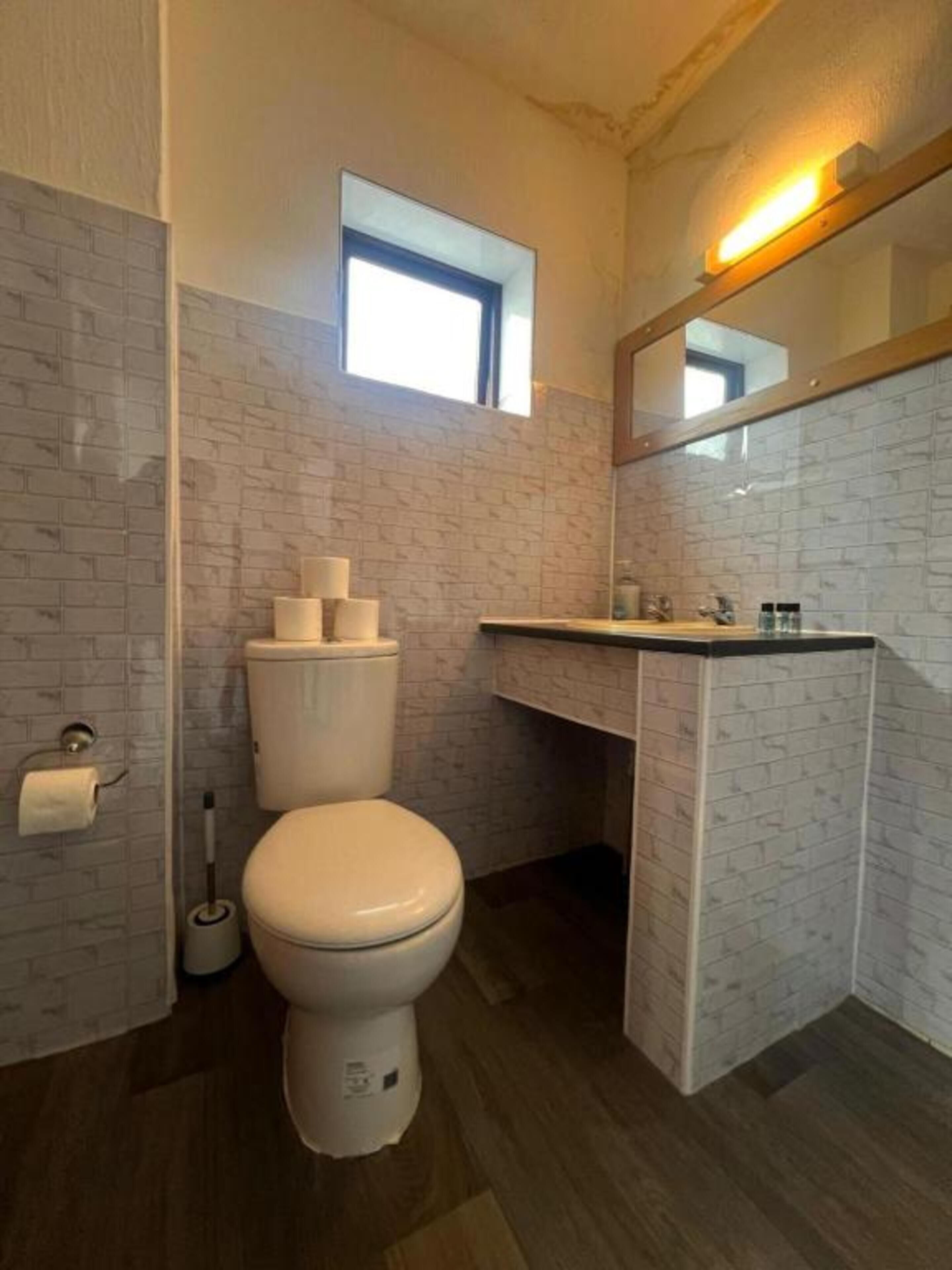 A bathroom with a toilet, sink, and mirror.