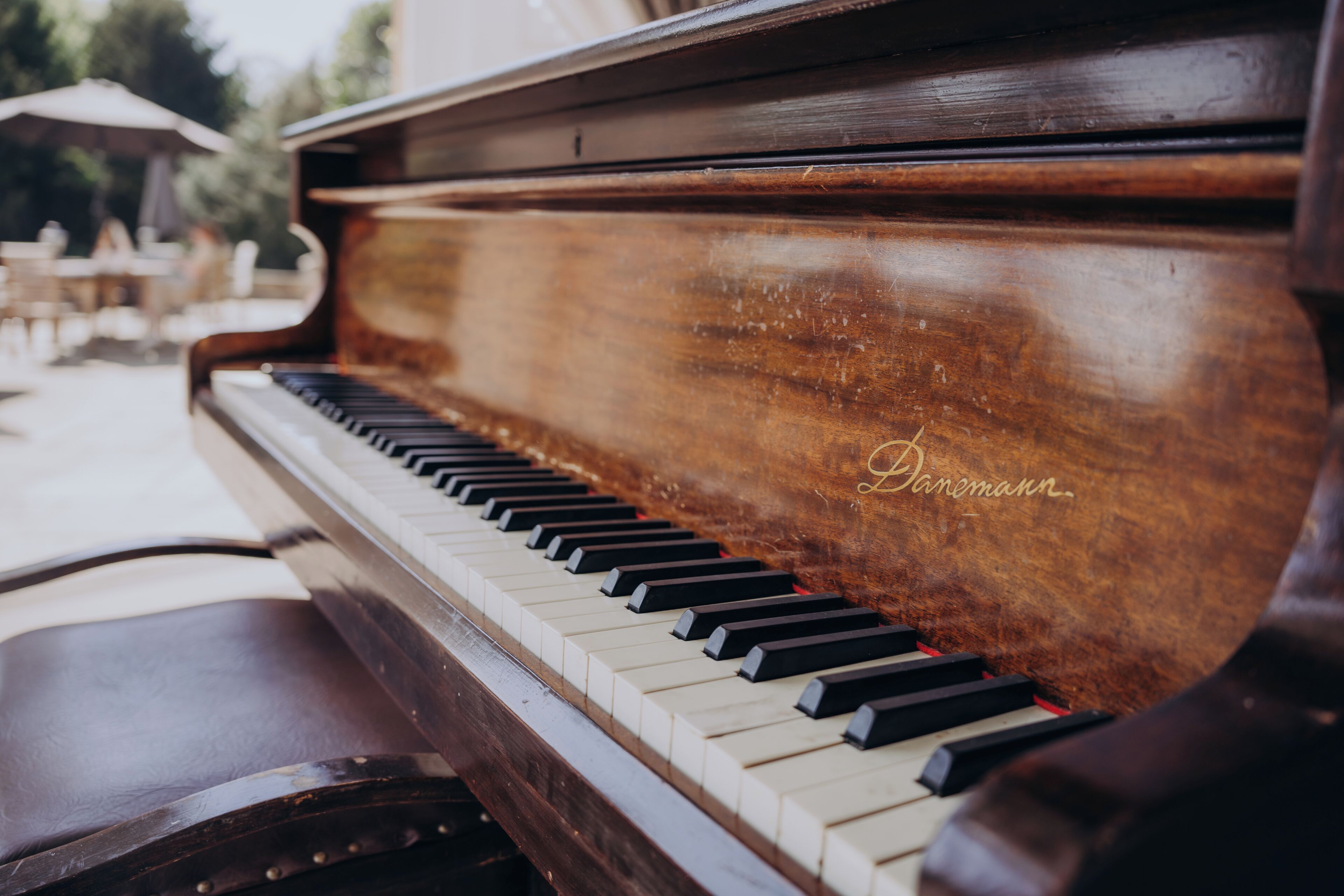 A grand piano with a polished wooden finish and the brand name 'Danemann' visible on the side.