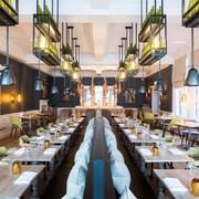 The Swan