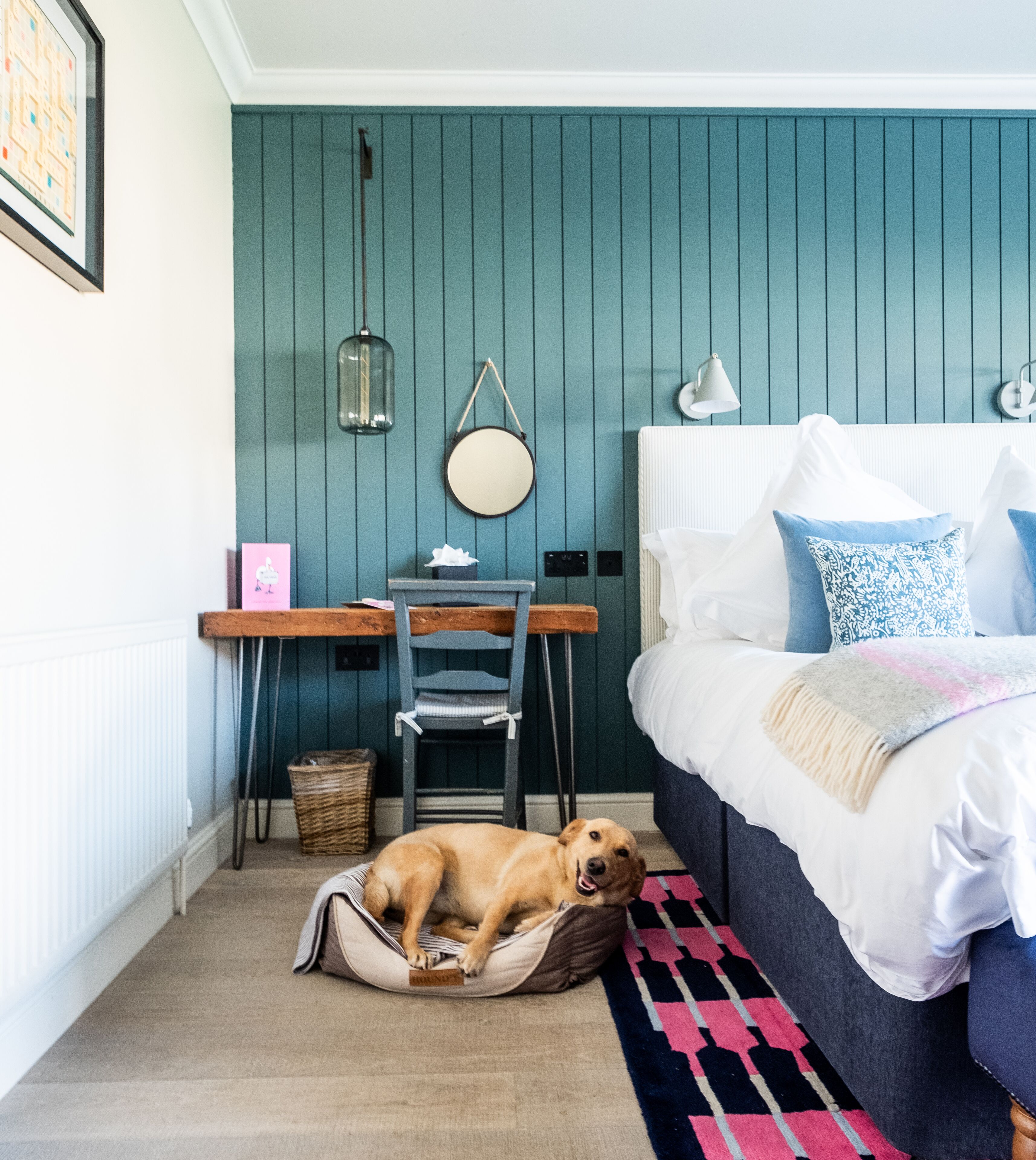 A bedroom with a bed, a desk, a chair, a dog bed, a lamp, and a wall-mounted mirror.