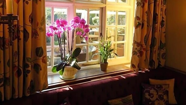 A room with a large window, a sofa, and potted plants. - The George Of Stamford (Stamford)
