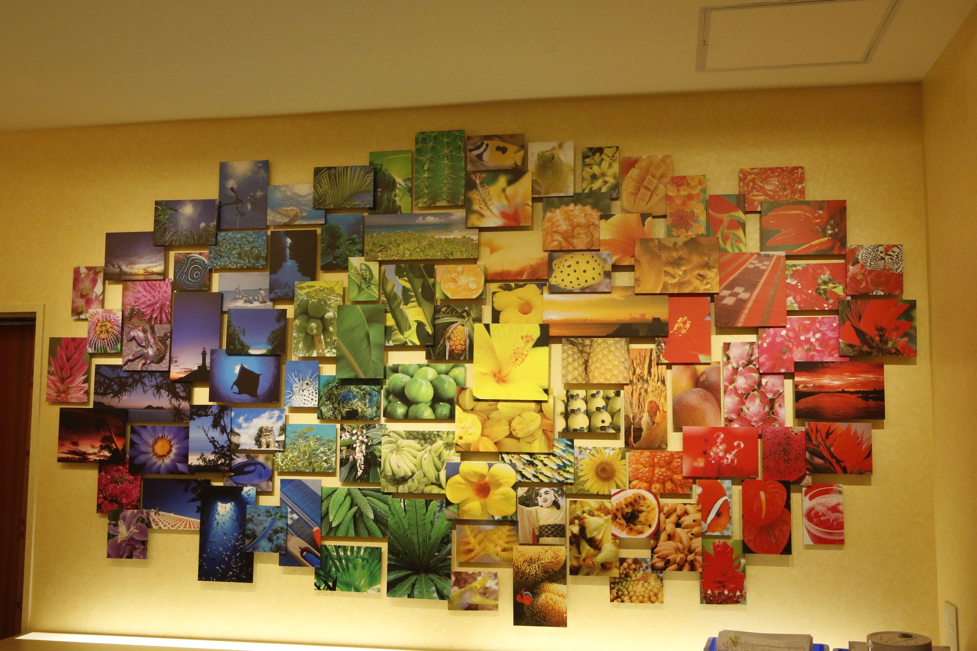 A wall covered with a variety of colorful artwork and photographs, including nature scenes, flowers, and fruits.